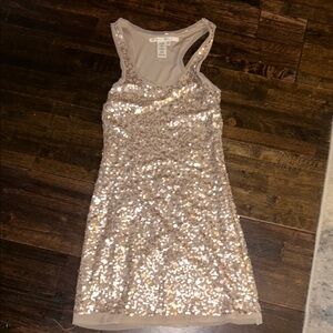 Sequin Sleeveless Dress
